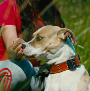 Screenshot_20230627_233951_Gallery