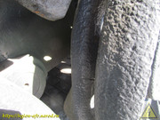 IMG-5490