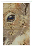 2897883-crosti-ru-color-11
