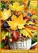 Красивого-сентябрьского-денька!