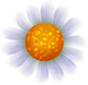 KBK-In-The-Spring-126