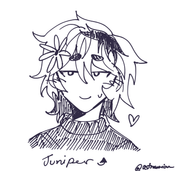 Juniper