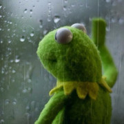 [Image: IMG-4319.jpg]