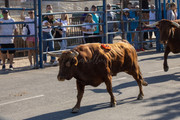 IMG-0403