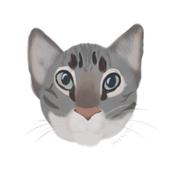 Untitled113_20210124133003