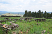 DSC-0220