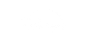 Disney+