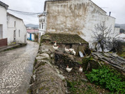 IMG-20260103-WA0059