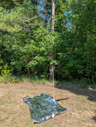 [Image: PXL-20250815-161800050.jpg]