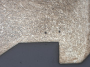 SIG head 25x dichromate