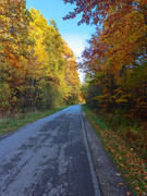 PXL_20211024_163337922