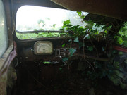 20260425-170019.jpg