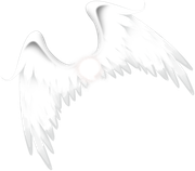 Winter-White-Elements-102