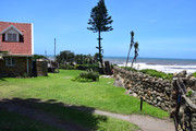 DSC-0070