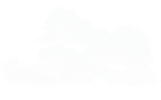0-1c0a16-9f13052b-orig
