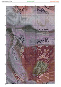 2890426-crosti-ru-color-19