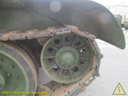 IMG-6291