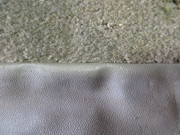 IMG-2438.jpg