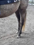 CFAA85CD-CE57-4CB9-883A-B8DF6BA082B1