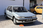 IMG-6123