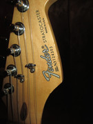 IMG-1299
