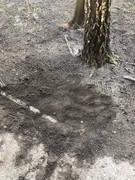 photo_2023-03-23_18-28-45 (2)