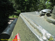 IMG-5776