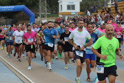 IMG-1355