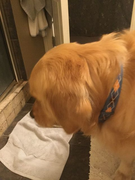 image_2023-02-02_225938686