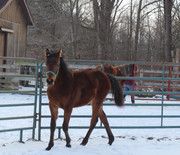 D29E9539-26FC-4DB0-B56A-3C595248006F