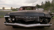 Impala-Baby