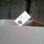 carton-mohammad (189)