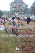 IMG-0155