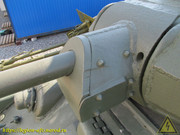 IMG-3494