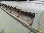 IMG-8917