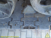 IMG-5615