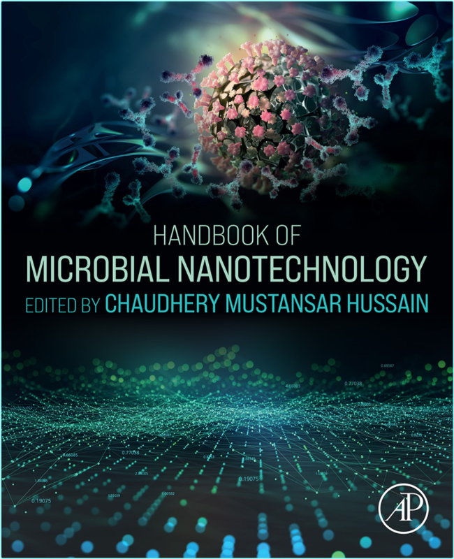 Microbial Nanotechnology For Sustainable Future (2025) (Hussain, Chaudhery Mustansar;)