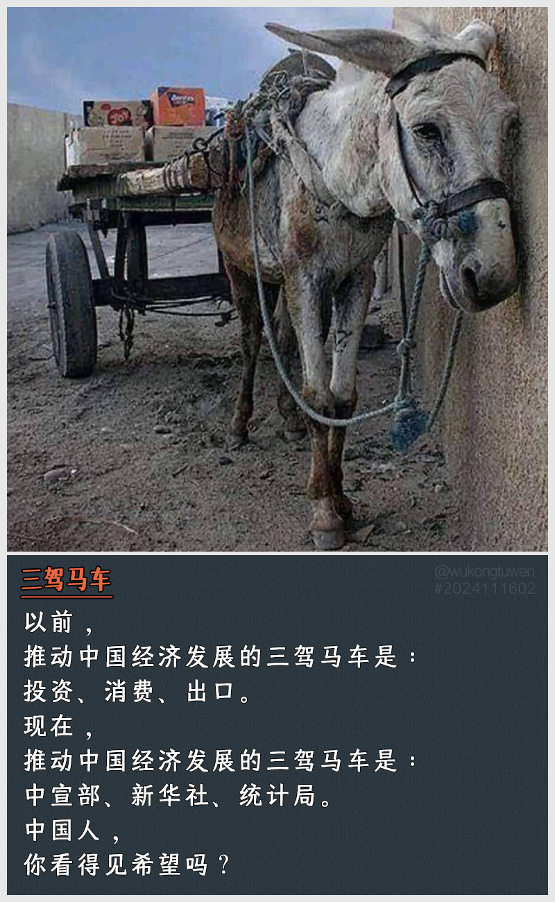 https://i.postimg.cc/zzQgW0bt/2024111602.jpg