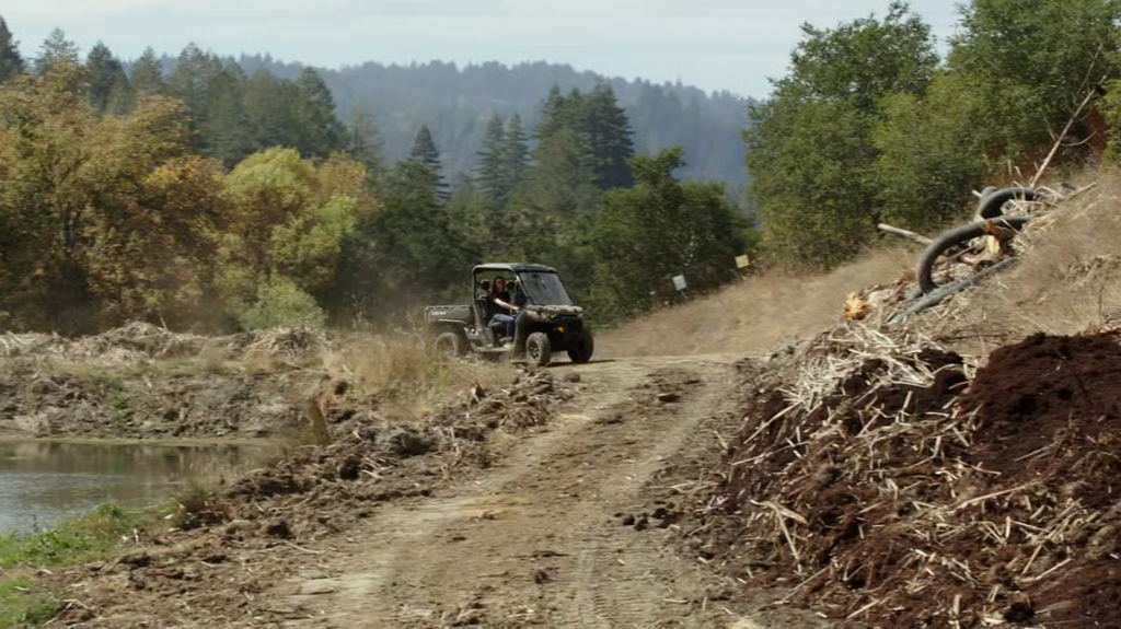 [Image: vjpkn33a55ab.png]