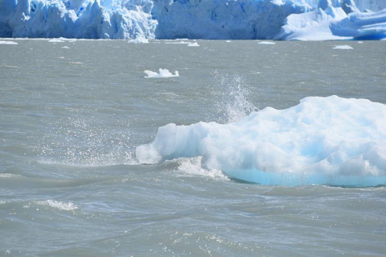 В джазе только девушки или аргентинско-бразильский калейдоскоп В джазе только девушки или аргентинско-бразильский калейдоскоп