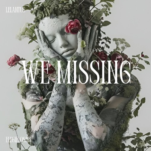 Osan, Elegie - We Missing (2026) MP3