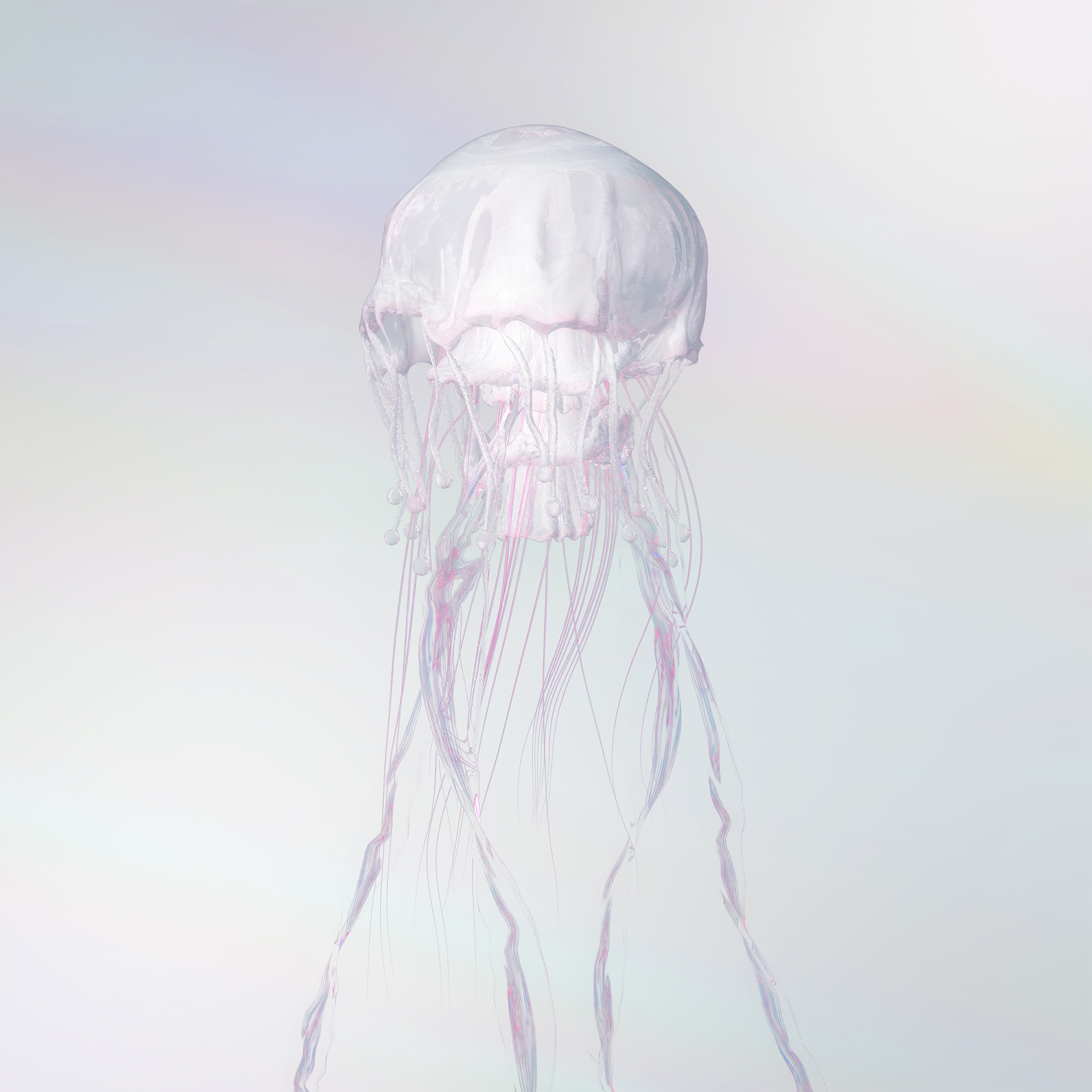 SCANDAL　LUMINOUS 11th Album - 「LUMINOUS」