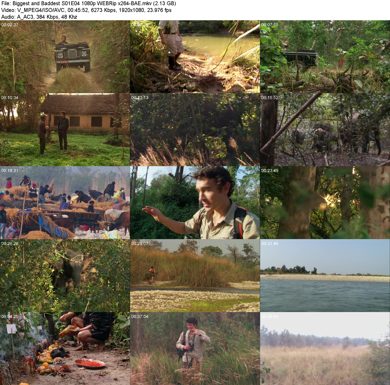 [Image: jgxi37c14sek.jpg]